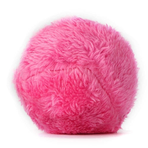 Roller Ball Cat & Dog Toy