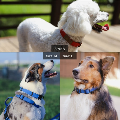 Lof Dog Collar