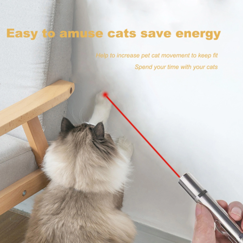 Interactive LED Cat Pointer