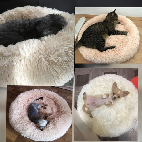 Comfy Calming Pet Bed
