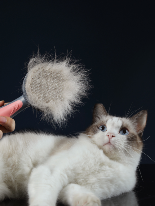 Cat & Dog Grooming Comb