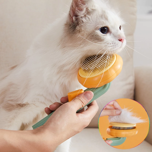 Pet Grooming Brush