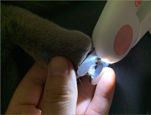 Pet Nail Scissors with Light