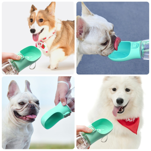 Portable Pet Feeder Bowl