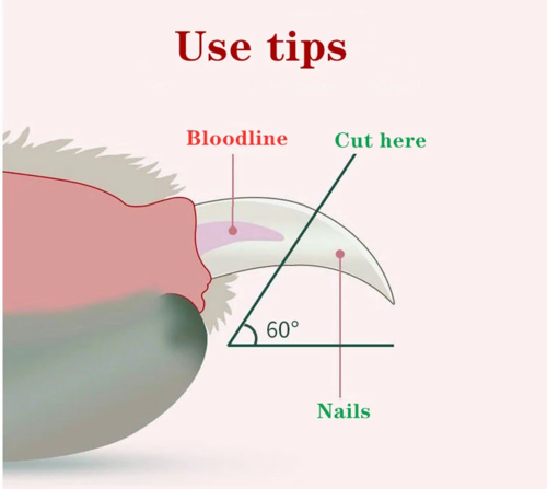 Pet Nail Scissors with Light