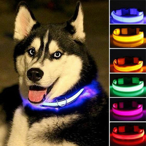 Nylon LED Dog Collar Set