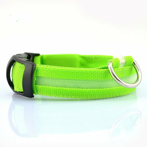 Nylon LED Dog Collar Set