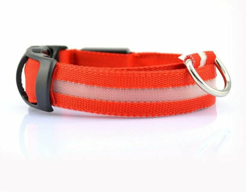 Nylon LED Dog Collar Set