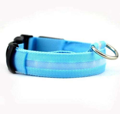Nylon LED Dog Collar Set