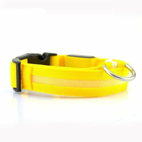 Nylon LED Dog Collar Set