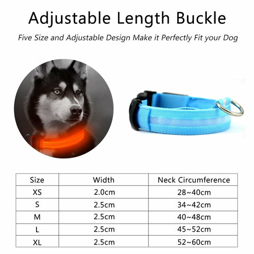 Nylon LED Dog Collar Set